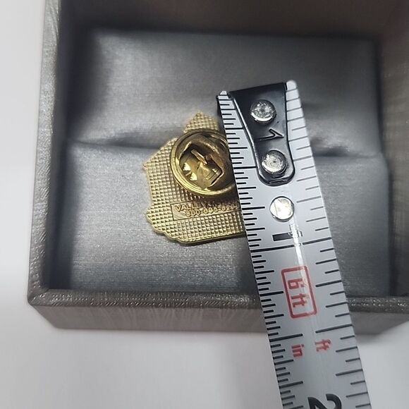 School Volunteer Pin - Picture 3 of 3